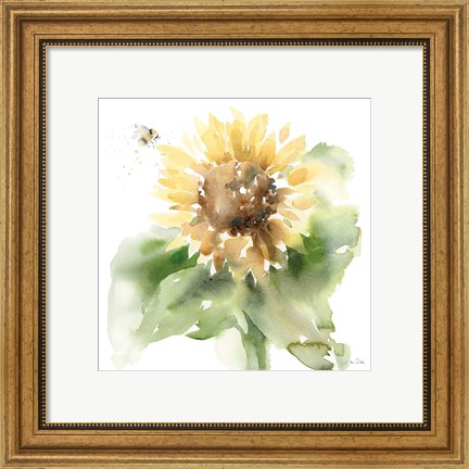 Framed Sunflower Meadow III Print