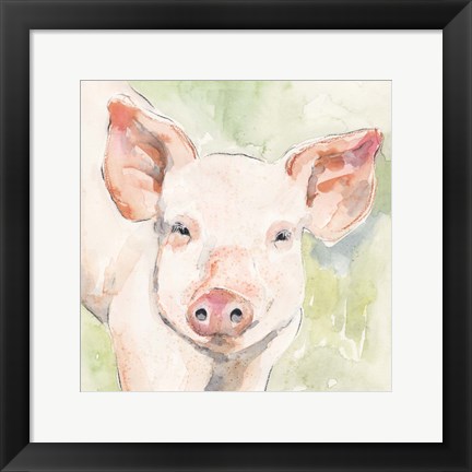Framed Sunny the Pig I Print