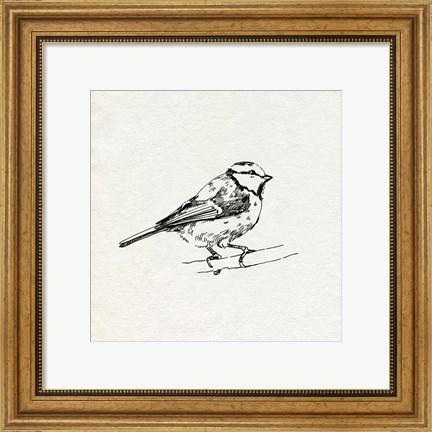 Framed Bird Feeder Friends IV Print