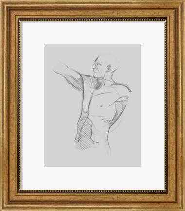 Framed Male Torso Sketch IV Print