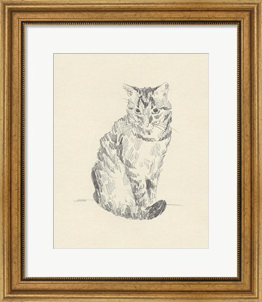 Framed House Cat I Print