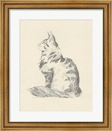 Framed House Cat II Print