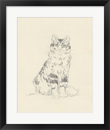 Framed House Cat III Print
