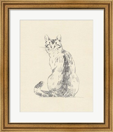 Framed House Cat V Print