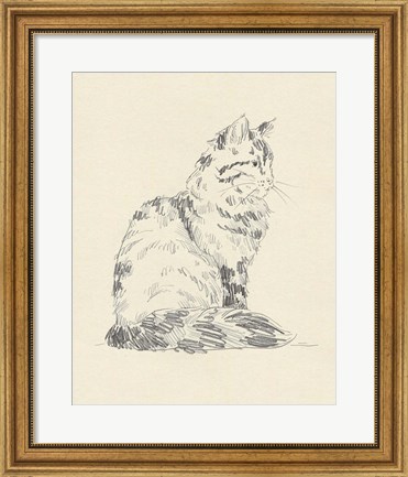 Framed House Cat VI Print