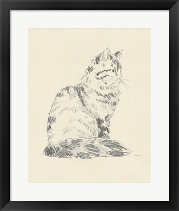 Framed House Cat VI Print