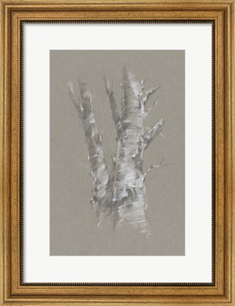 Framed Chalk Birch Study I Print