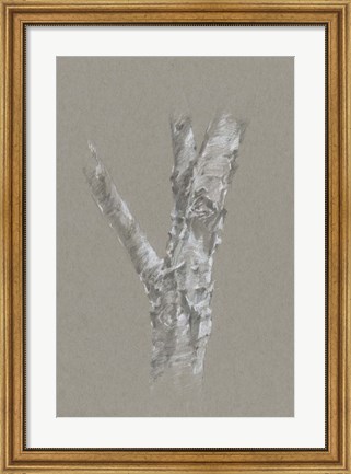 Framed Chalk Birch Study II Print