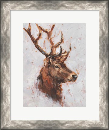 Framed Stag Study II Print