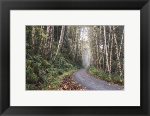 Framed Mountain Drive Print