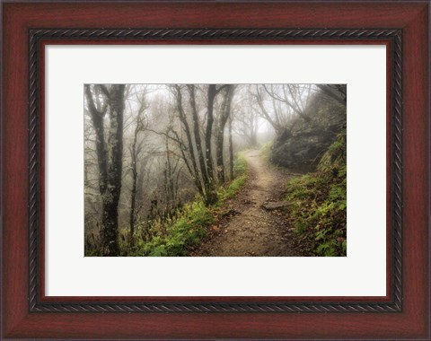 Framed Narrow Path Print