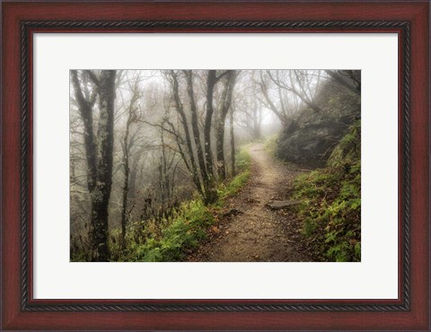 Framed Narrow Path Print