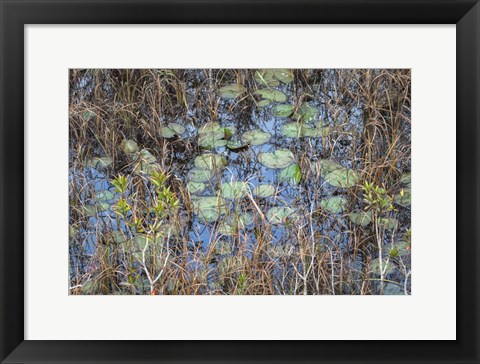 Framed Marsh Print