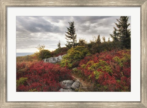 Framed Highland Trail Print