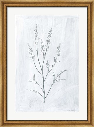 Framed Milkweeds I Print