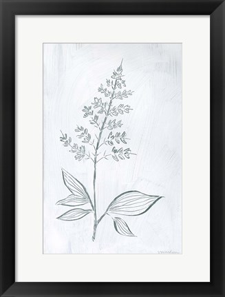 Framed Milkweeds IV Print