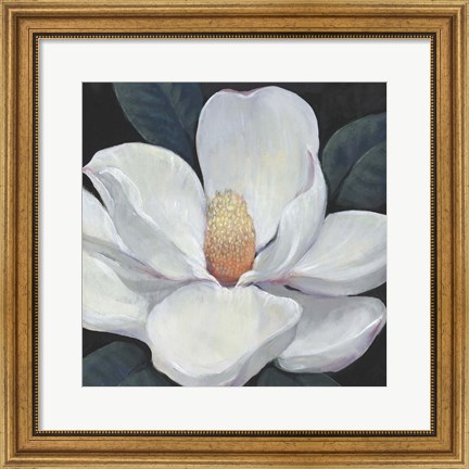 Framed Blooming Magnolia I Print