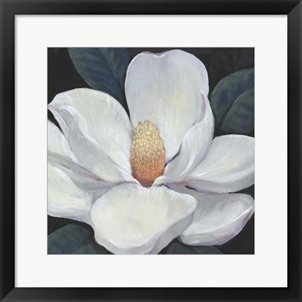 Framed Blooming Magnolia I Print