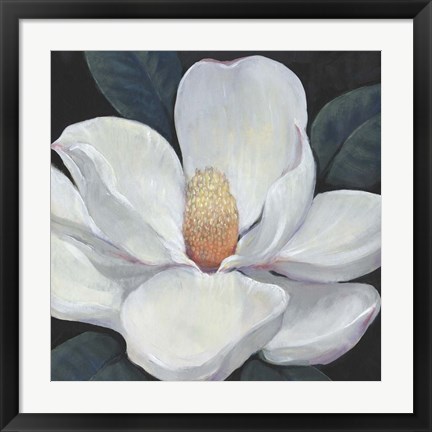 Framed Blooming Magnolia I Print
