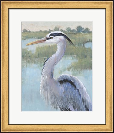 Framed Blue Heron Portrait I Print