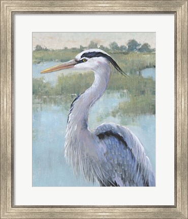 Framed Blue Heron Portrait I Print