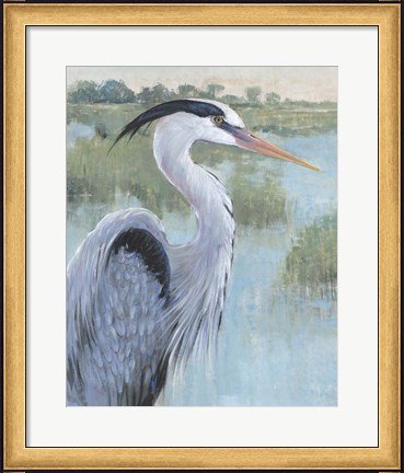 Framed Blue Heron Portrait II Print