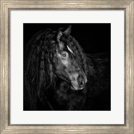Framed Equine Portrait IX Print
