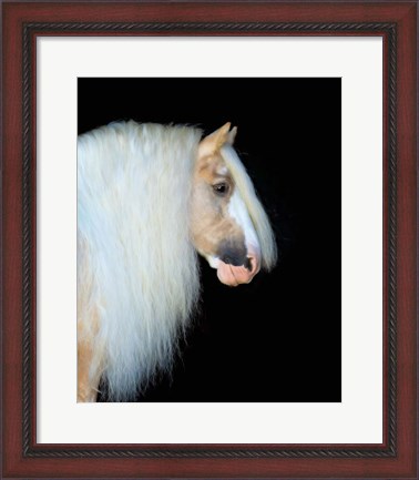 Framed Equine Portrait VIII Print