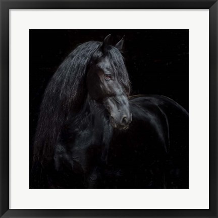 Framed Equine Portrait XI Print