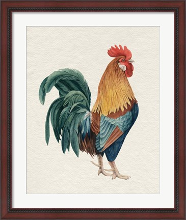 Framed Watercolor Rooster I Print