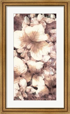 Framed Blush Shaded Leaves V Print