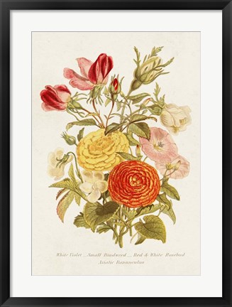 Framed Antique Floral Bouquet I Print