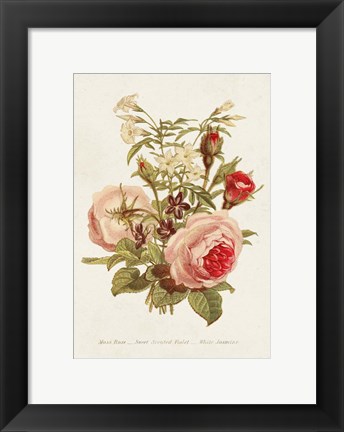 Framed Antique Floral Bouquet III Print