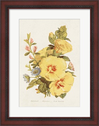 Framed Antique Floral Bouquet VI Print