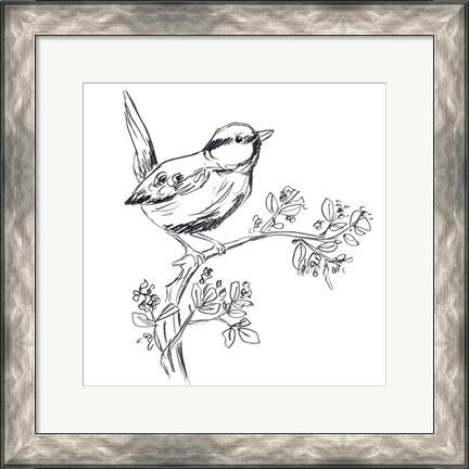 Framed Simple Songbird Sketches IV Print