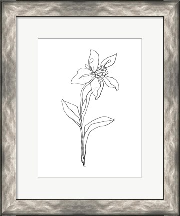 Framed Simple Daffodil I Print