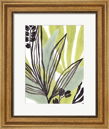 Framed Tropical Collage III Print