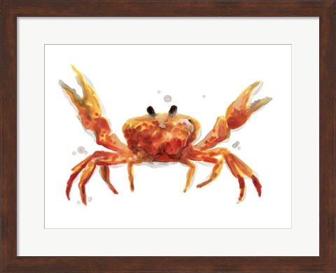 Framed Crab Cameo II Print