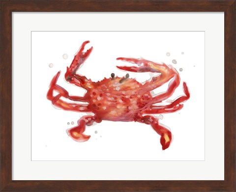 Framed Crab Cameo IV Print