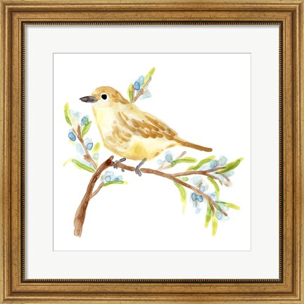 Framed Springtime Songbirds II Print