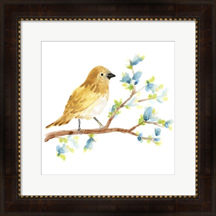 Framed Springtime Songbirds III Print