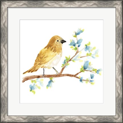 Framed Springtime Songbirds III Print