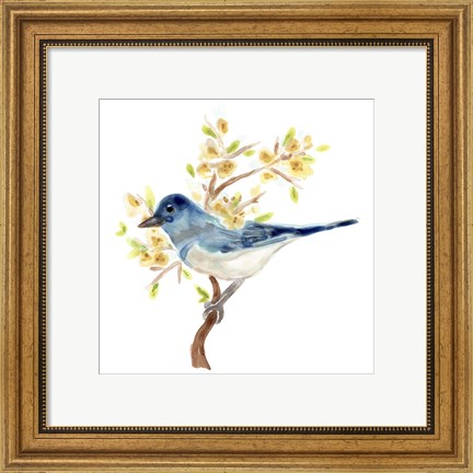 Framed Springtime Songbirds IV Print