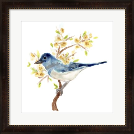 Framed Springtime Songbirds IV Print