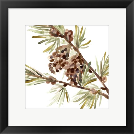 Framed Simple Pine Cone II Print