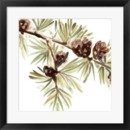 Framed Simple Pine Cone III Print