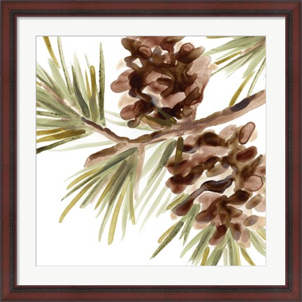 Framed Simple Pine Cone IV Print