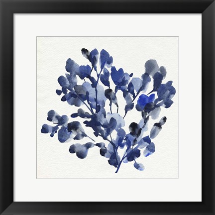 Framed Cobalt Blossom II Print