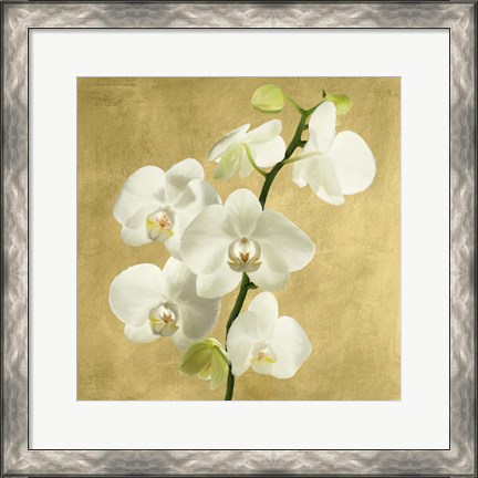 Framed Orchids on a Golden Background II Print
