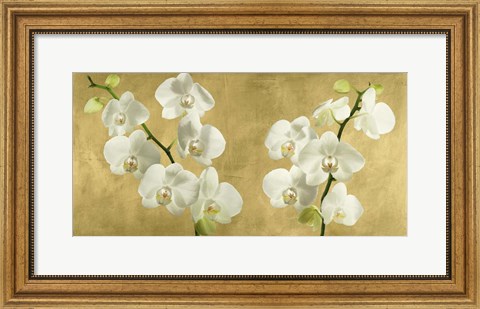 Framed Orchids on a Golden Background Print
